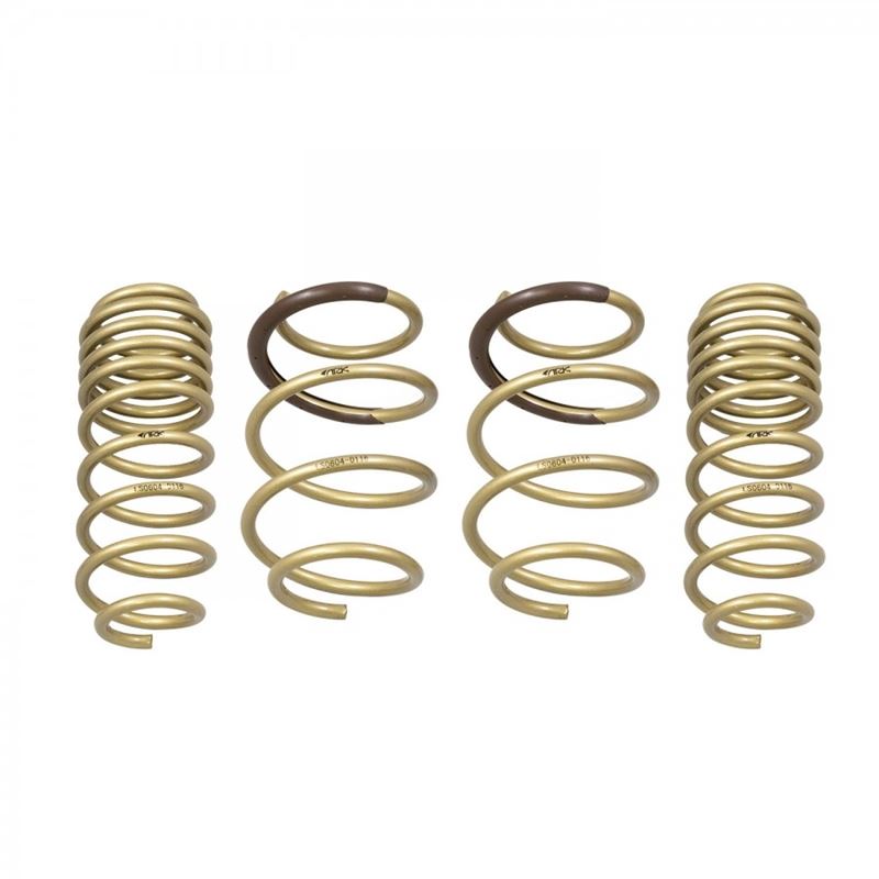 Ark Performance GT-S Lowering Springs for 16+ Honda Civic (LS0604-0116)