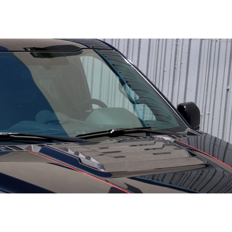 APR Performance Hood Vent (CF-207005)