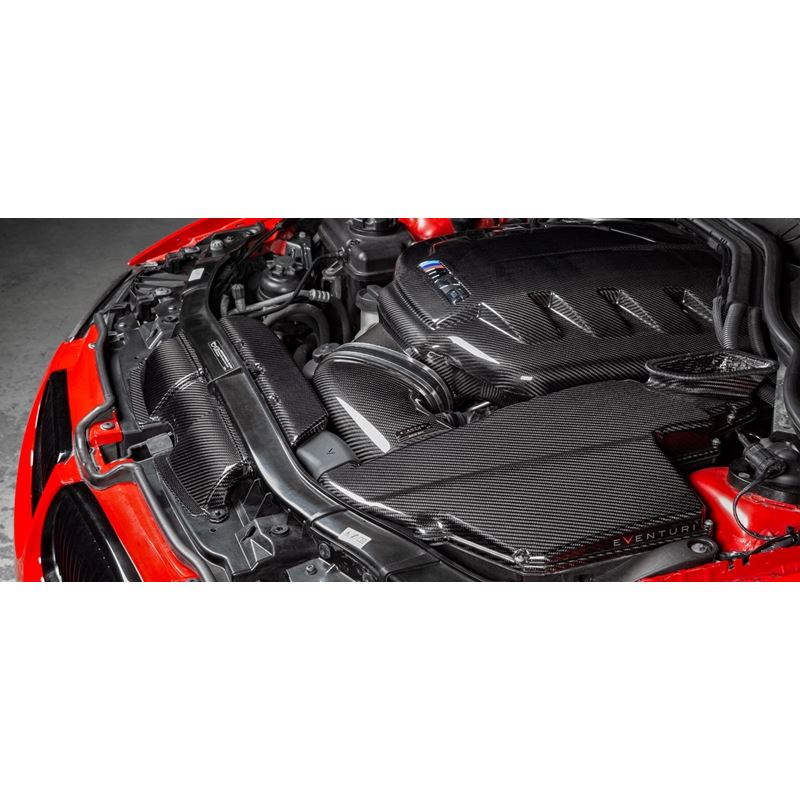 Eventuri BMW E9X M3 Black Carbon Inlet Plenum (EVE-E9X-CFM-PLM)