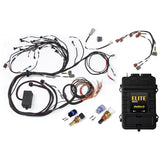 Haltech RB Twin CAM Elite 2500 ECU, Main Harness, CAS Breakout, Earl (HT-151308)