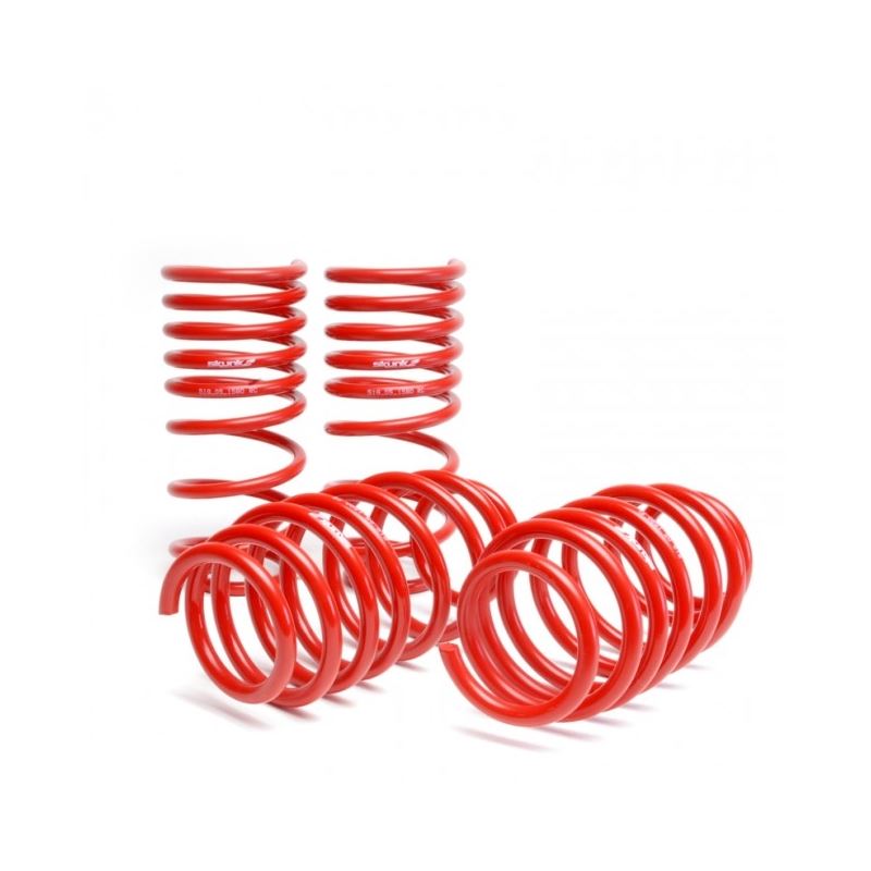 Skunk2 Racing Lowering Coil Spring Set (519-05-1775)