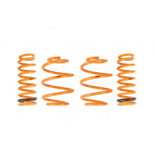 Load image into Gallery viewer, Ark Performance GT-F Lowering Springs (LF0704-0010)