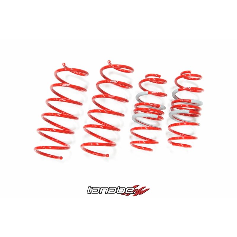 Tanabe DF210 Springs 09-14 Fit (TDF143)