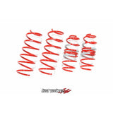 Tanabe DF210 Springs 09-14 Fit (TDF143)