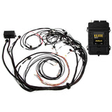 Haltech Elite 2500 - Ford Falcon BA/BF Barra Terminated Harness kit (HT-151368)