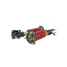 Load image into Gallery viewer, Skunk2 Pro-ST Coilovers for 2006-2011 Honda Civic (541-05-8750)