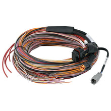 Load image into Gallery viewer, Haltech PD16 Wire-in harness - 5M / 16FT (HT-188000)