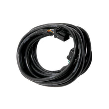 Load image into Gallery viewer, Haltech CAN Cable 8 pin Blk Tyco 8 pin Blk Tyco 900mm (36&quot;) (HT-040058)