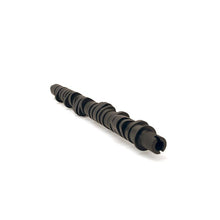 Load image into Gallery viewer, Skunk2 Racing Tuner Series Stage 4 Camshaft (305-05-0055)