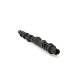 Skunk2 Racing Tuner Series Stage 4 Camshaft (305-05-0055)