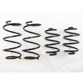 RS-R 13+ Nissan Sentra (TB17 (B17)) Down Sus Springs (N205D)