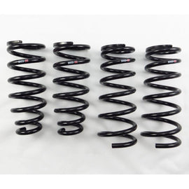 RS-R 98-05 Lexus GS300/400/430 (JZS160) Down Sus Springs (T223D)