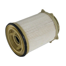 Load image into Gallery viewer, aFe Pro GUARD D2 Fuel Filter (44-FF016)