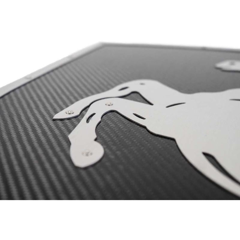 Fabspeed Carbon Fiber Wall Art - Ferrari (FS.FER.CFSSWA)