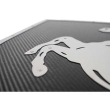 Load image into Gallery viewer, Fabspeed Carbon Fiber Wall Art - Ferrari (FS.FER.CFSSWA)