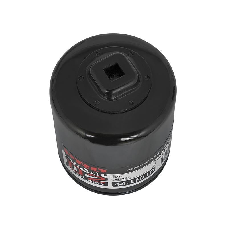 aFe Pro GUARD D2 Oil Filter (4 Pack) (44-LF010-MB)