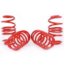 Load image into Gallery viewer, Skunk2 Racing Lowering Coil Spring Set (519-05-1585)