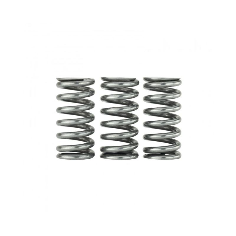 Skunk2 Honda L15B7 Ultra Valve Springs and Spring Base Kit (313-05-9400)