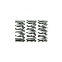 Load image into Gallery viewer, Skunk2 Honda L15B7 Ultra Valve Springs and Spring Base Kit (313-05-9400)