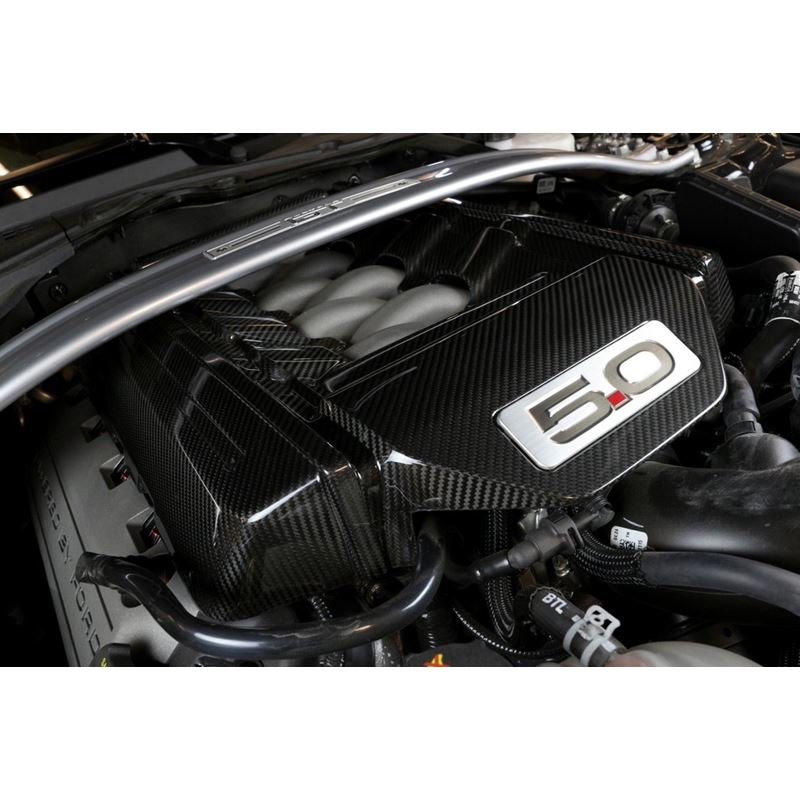 APR Performance Carbon Fiber Engine Cover (CBE-MUGENG15)