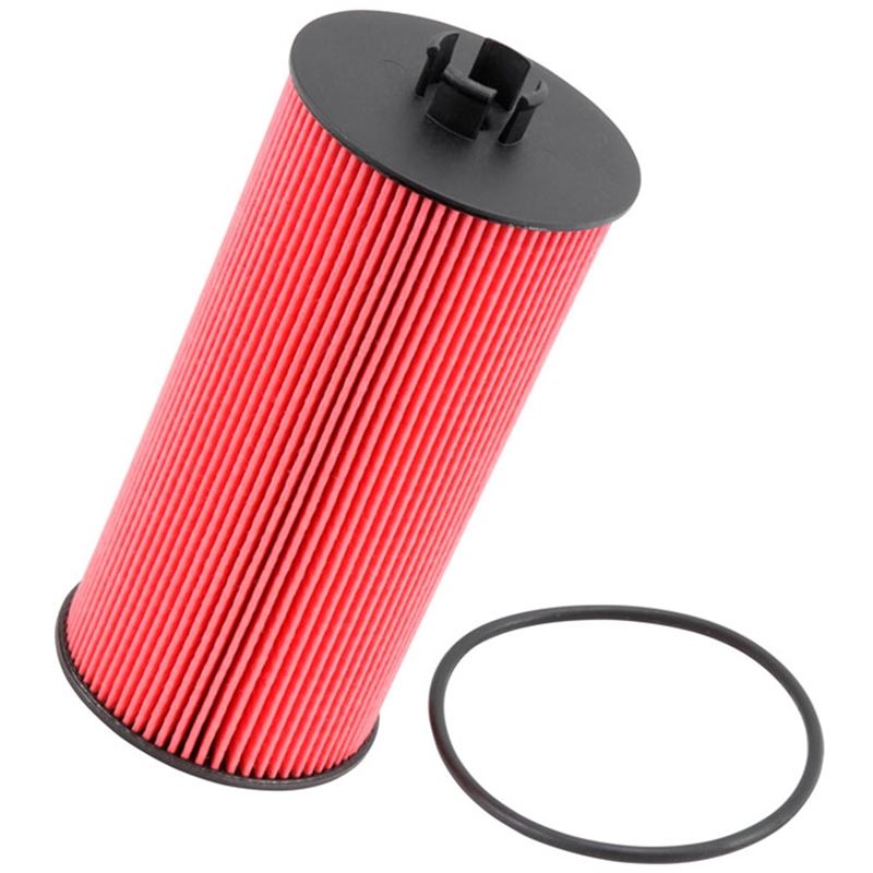 K&N High Flow Oil Filter (PS-7009)