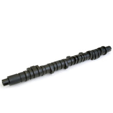 Load image into Gallery viewer, Skunk2 Racing Tuner Series Stage 2 Camshaft (305-05-0050)