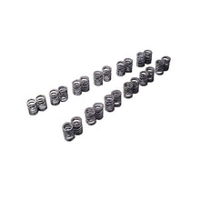 Load image into Gallery viewer, VALVE SPRING SET RB20DE(T)/VG30DE(TT) (TA304A-NS07A)