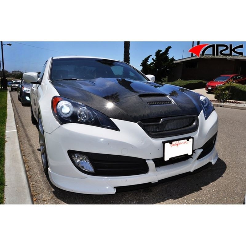 Ark Performance C-FX Hood (CFXH-0700)