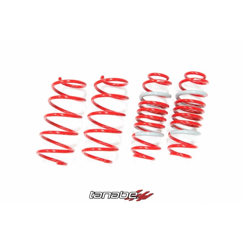 Tanabe DF210 Springs 10-14 Insight (TDF148)