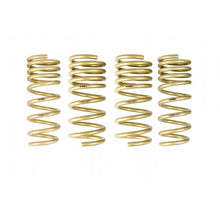 Load image into Gallery viewer, Ark Performance GT-S Lowering Springs (LS0900-0300)