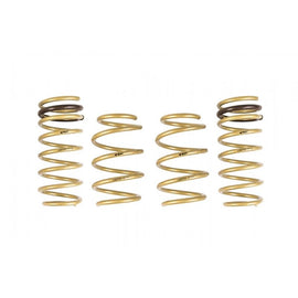 Ark Performance GT-S Lowering Springs (LS0703-0112)