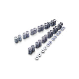 VALVE SPRING KIT RB25DE(T) R33 (TA304A-NS06A)