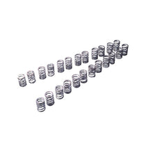 Load image into Gallery viewer, VALVE SPRING SET RB26DETT TYPE-A (TA304A-NS05A)