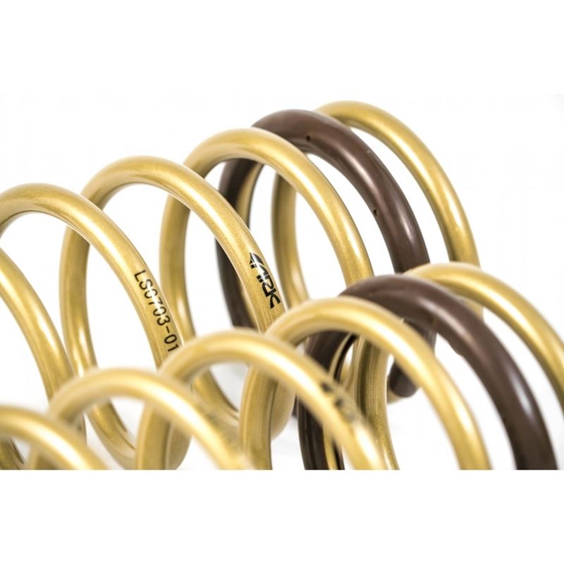 Ark Performance GT-S Lowering Springs (LS0703-0112)