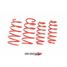 Load image into Gallery viewer, Tanabe NF210 Springs 12 Toyota Prius V (TNF167)