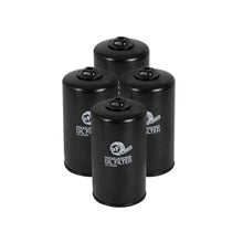 Load image into Gallery viewer, aFe Pro GUARD D2 Oil Filter (4 Pack) (44-LF024-MB)