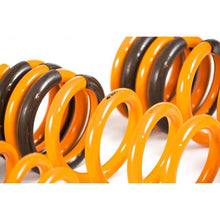 Load image into Gallery viewer, Ark Performance GT-F Lowering Springs (LF1102-0103)