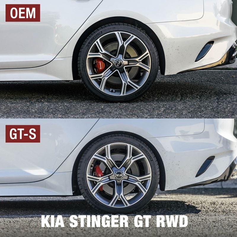 Ark Performance GT-S Lowering Springs for Kia Stinger RWD (LS0804-0018)