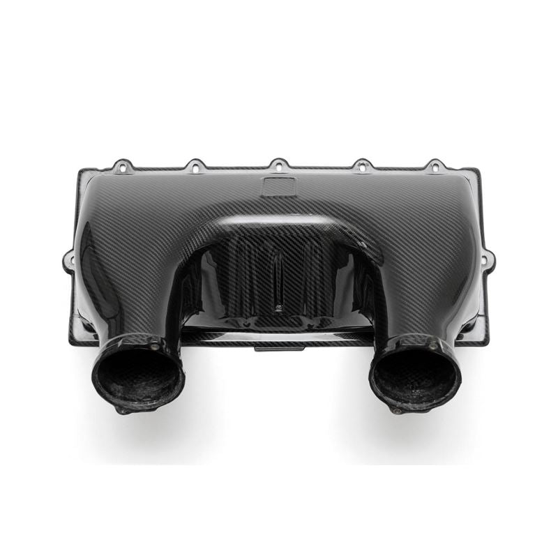 Fabspeed Ferrari 458 Italia Carbon Fiber Airbox Cover (10-15) (FS.FER.458.ABX)