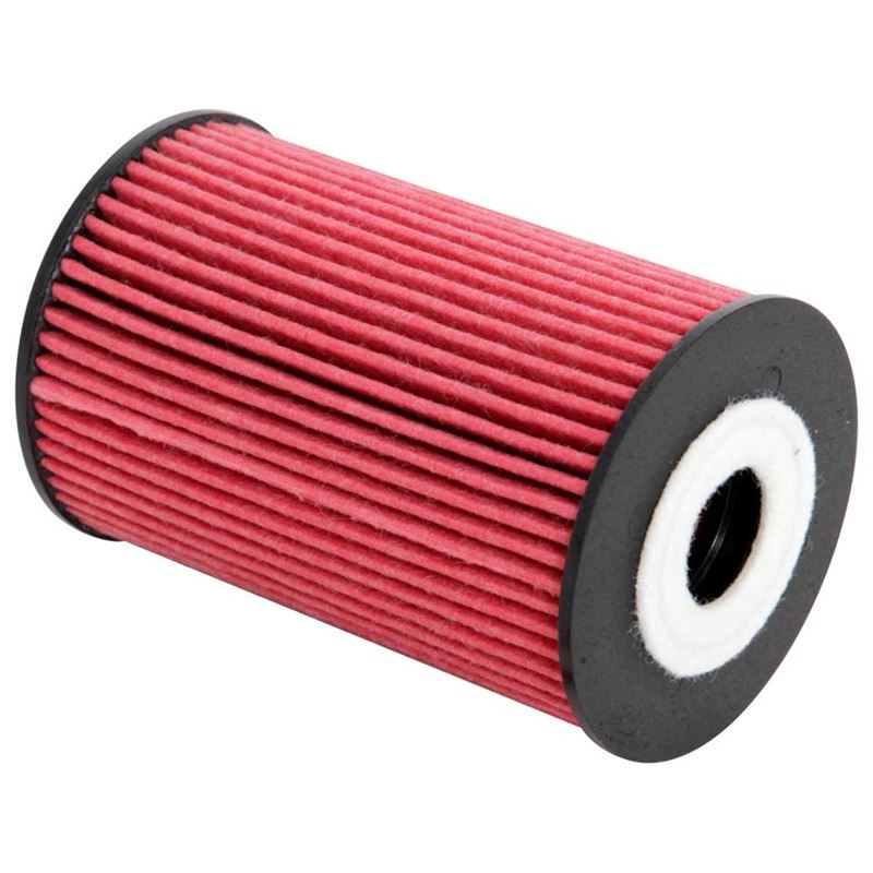 K&N Oil Filter (HP-7029)