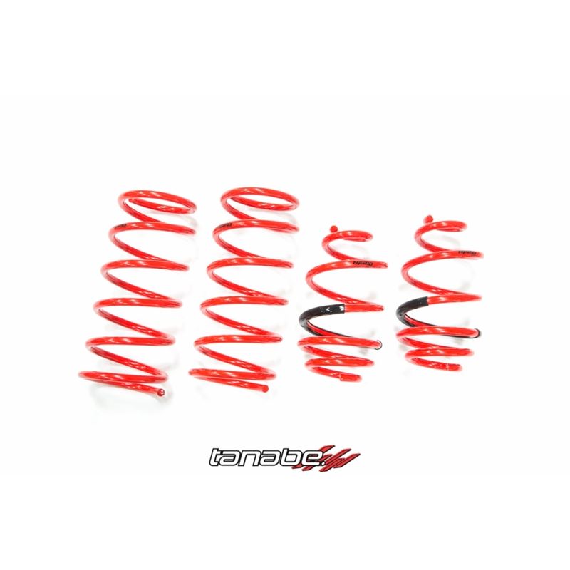 Tanabe NF210 Springs 10-14 Cube (TNF147)