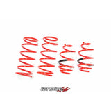 Tanabe NF210 Springs 10-14 Cube (TNF147)