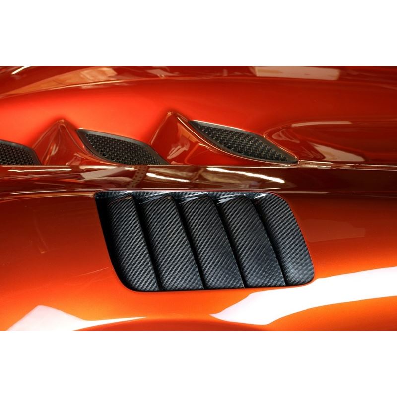 APR Performance Front Fender Vents (CF-700702)