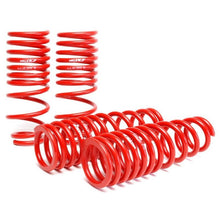 Load image into Gallery viewer, Skunk2 Racing Lowering Coil Spring Set (519-05-1480)