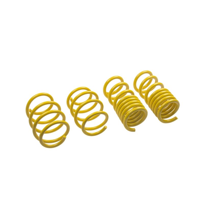 ST Suspension Lowering Springs for Ford Mustang; V8(28230052)