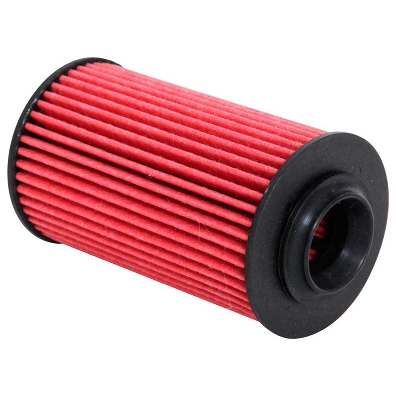 K&N Oil Filter (HP-7003)