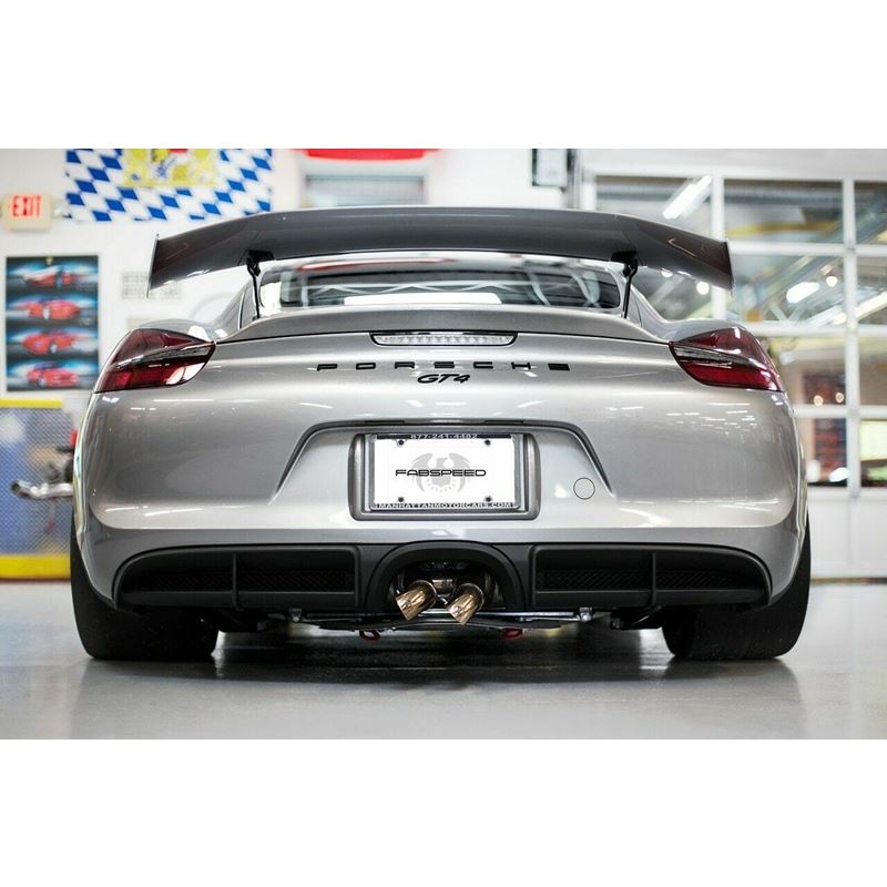 Fabspeed 981 Cayman GT4 GT450 Race Performance Package (15-16) (FS.POR.981GT4.GT450PKGCF)