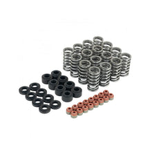 Load image into Gallery viewer, Skunk2 Honda L15B7 Ultra Valve Springs and Spring Base Kit (313-05-9400)