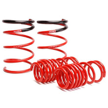 Load image into Gallery viewer, Skunk2 Racing Lowering Coil Spring Set (519-05-1575)