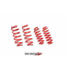 Load image into Gallery viewer, Tanabe NF210 Springs 15-16 Honda HR-V AWD (TNF195)